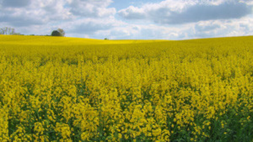 Upis u ARKOD završen u 14 županija