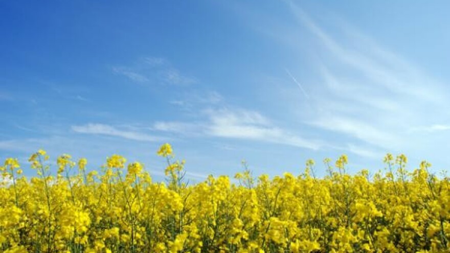 Vodič za navođenje hranjivih vrijednosti hrane