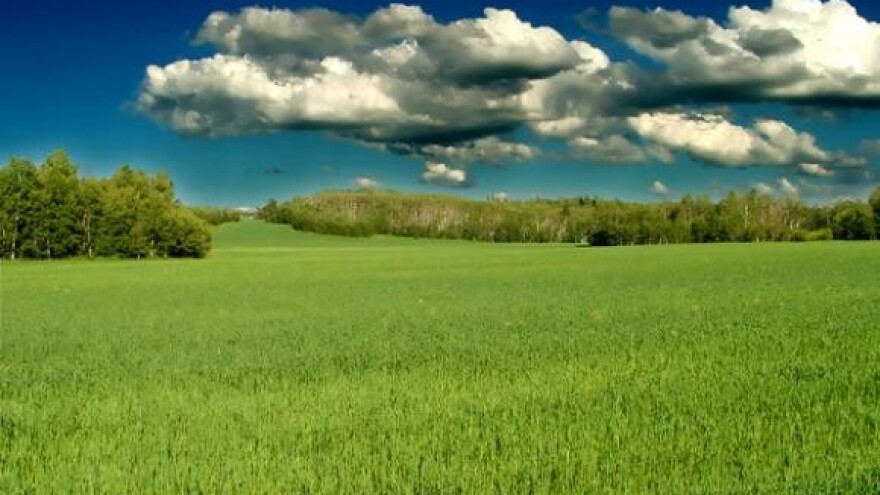 Suvremeno raspolaganje gnojovkom s farmi