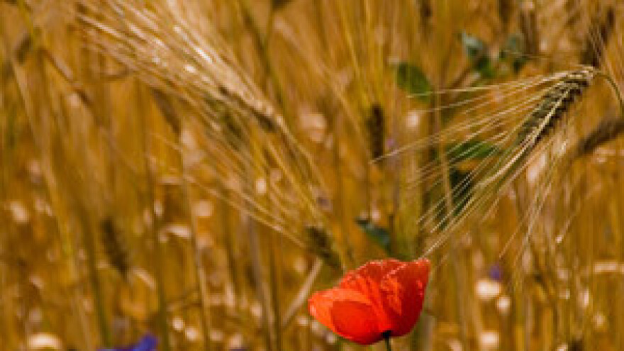 Hrvatski poljoprivrednici tek 2017. ravnopravni u EU