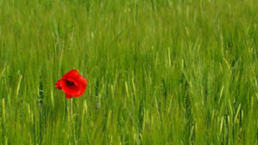 Nekorištenje zemljišnih parcela