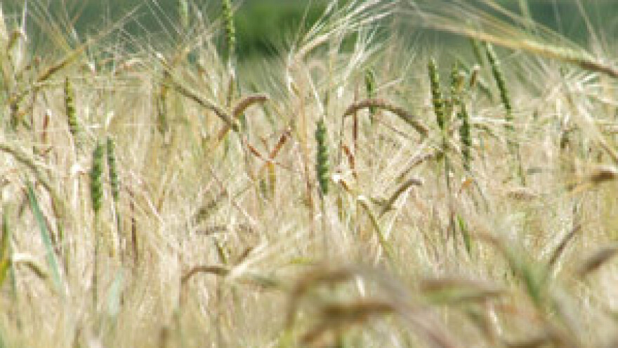 Poljoprivrednici najavljuju nove prosvjede i tužbe