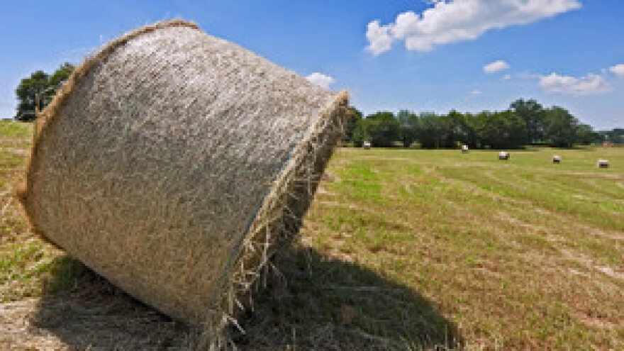 Prezahtjevni uvijeti za IPARD