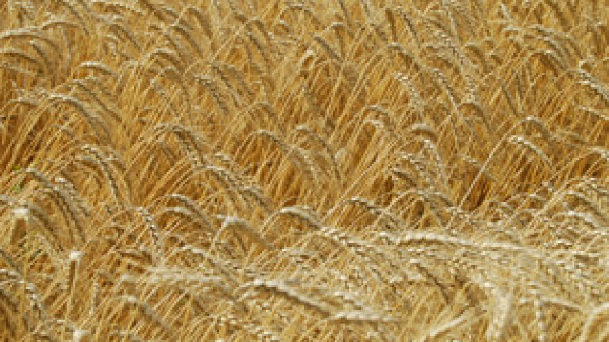 Do poticaja u agraru samo internetom