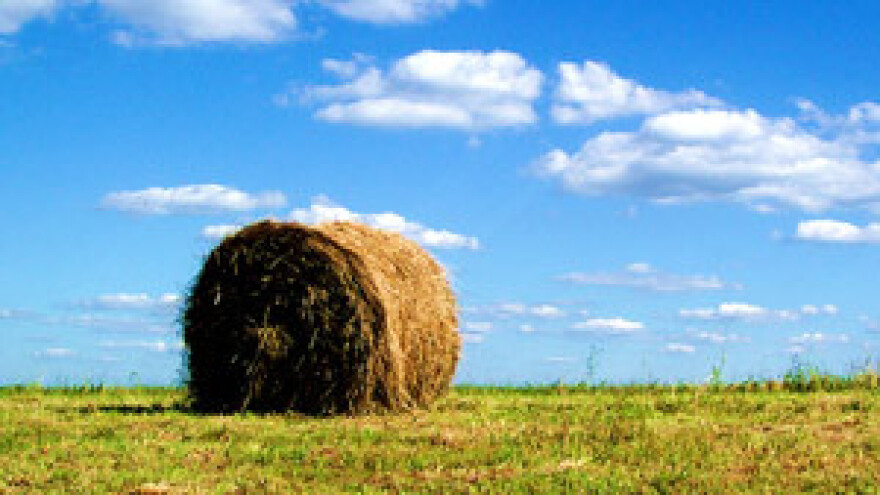 Poljoprivrednici idu kući, ministar dolazi u subotu