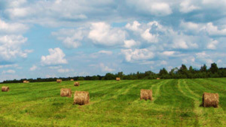 Država više ne može vlasnicima oduzimati neobrađenu zemlju