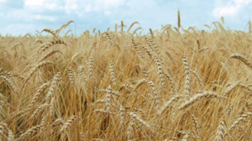 Reforma poljoprivredne politike utjecat će na cijene zemljišta u EU