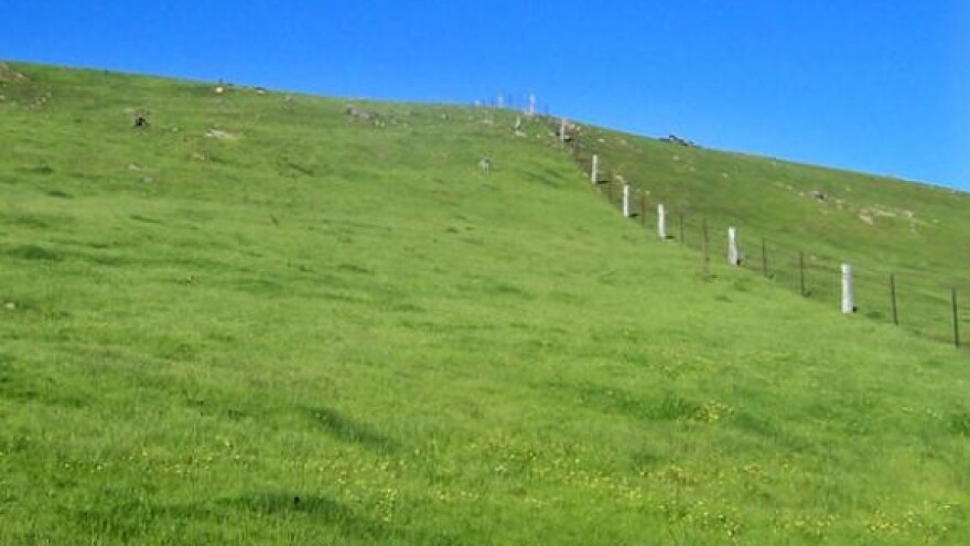 Poljoprivrednici traže mogućnost kompenzacije i otvorenih računa