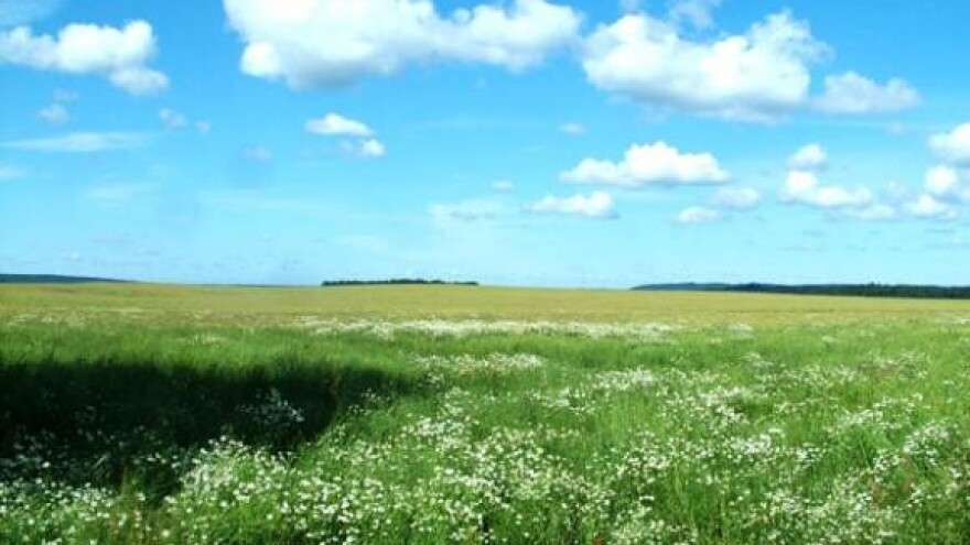 Talijani grade tvornicu mineralnih gnojiva u Vukovaru
