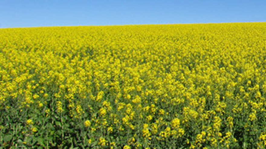 Počeo peti krug natječaja za sredstva iz IPARD programa