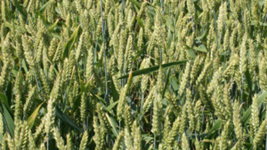 Iz Iparda povukli samo 100 milijuna kuna