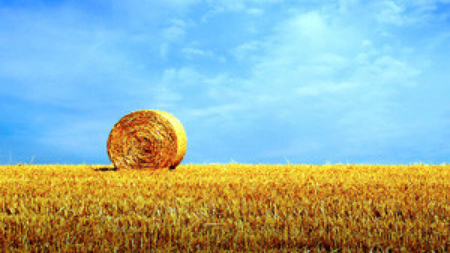 Oko 300.000 hektara poljoprivrednog zemljišta - mrtvi državni kapital