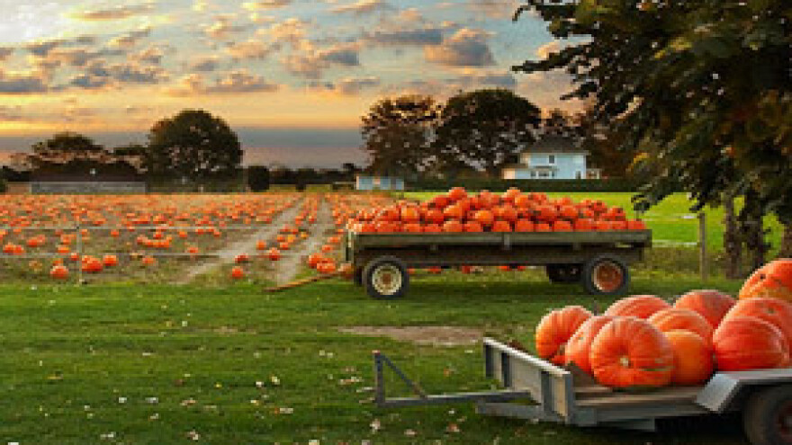 Forum poljoprivredne politike 2011.