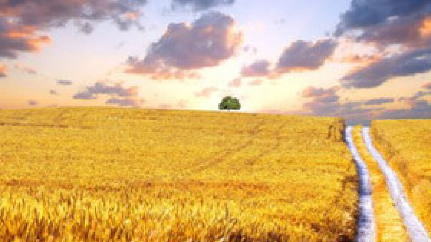 Europska komisija traži povrat 214 mil. eura subvencija