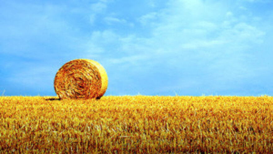 Sabor o poljoprivredi i ruralnom razvoju