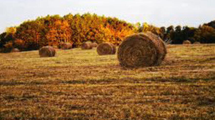Zbog nedostavljenih potvrda ostaje se bez potpora