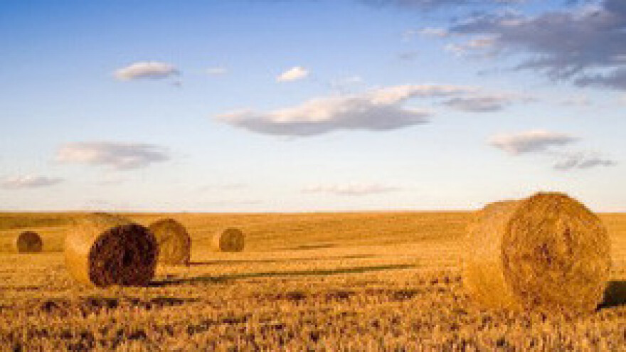 Nekad minirane površine koristit će se za ekološku poljoprivredu