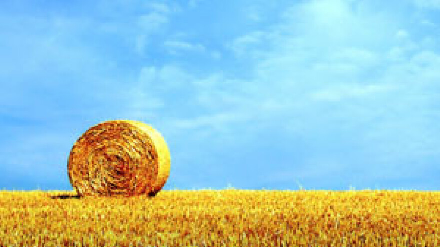 Poljoprivrednici misle da sve znaju i ne trebaju savjete agronoma