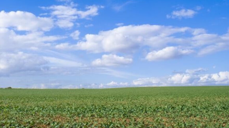 "Napredak" seljacima oduzima poticaje