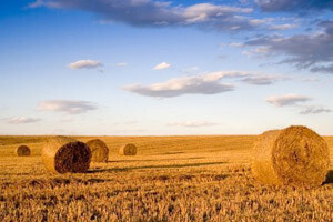 Što donosi članstvo u Europskoj uniji: poljoprivreda, ruralni razvitak