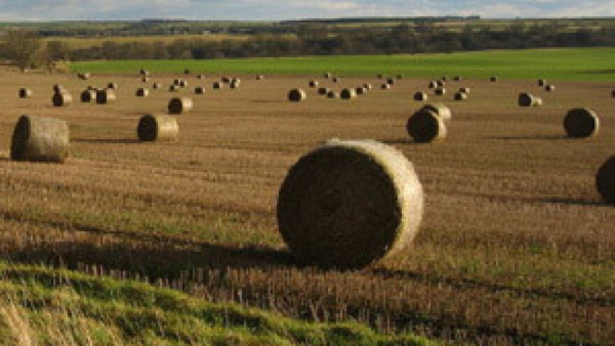 Grivičić: Hrvatsko selo je gotovo u očaju