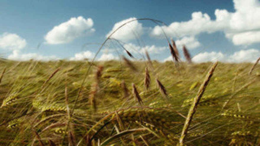 Poljoprivrednici ljutiti zbog naputka o zemljištu