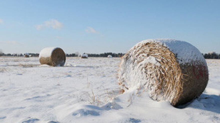 Neisplata poticaja uništit će selo