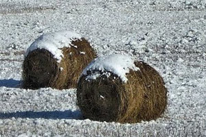 Milijardu kuna manje poljoprivredi