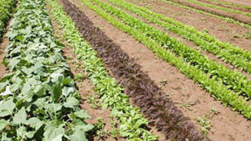 Prijete poplave, a poljoprivrednici još bez osiguranja