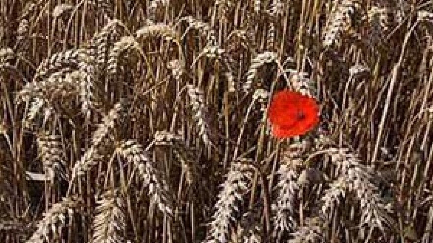 Kako produžiti zakup zemljišta?