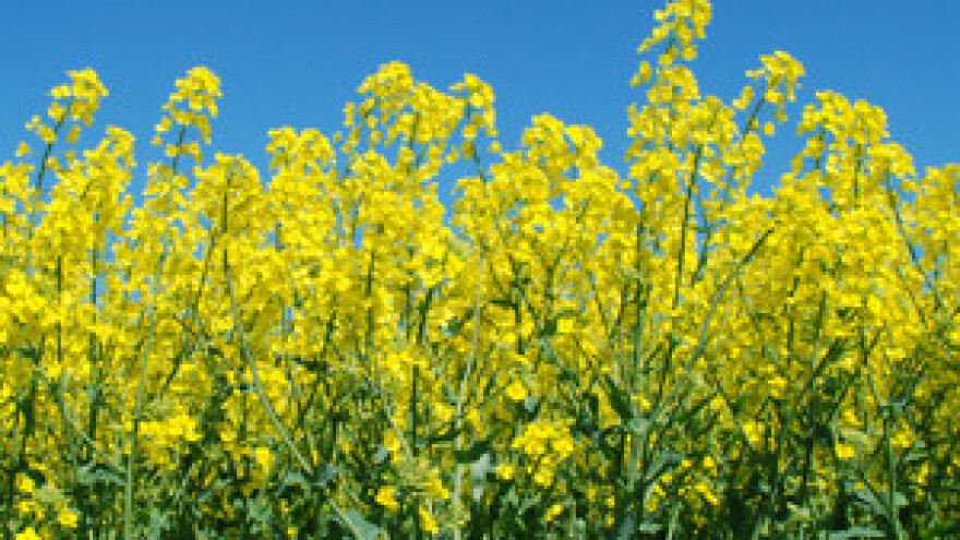 Ugovori za državnu poljoprivrednu zemlju do 30. rujna