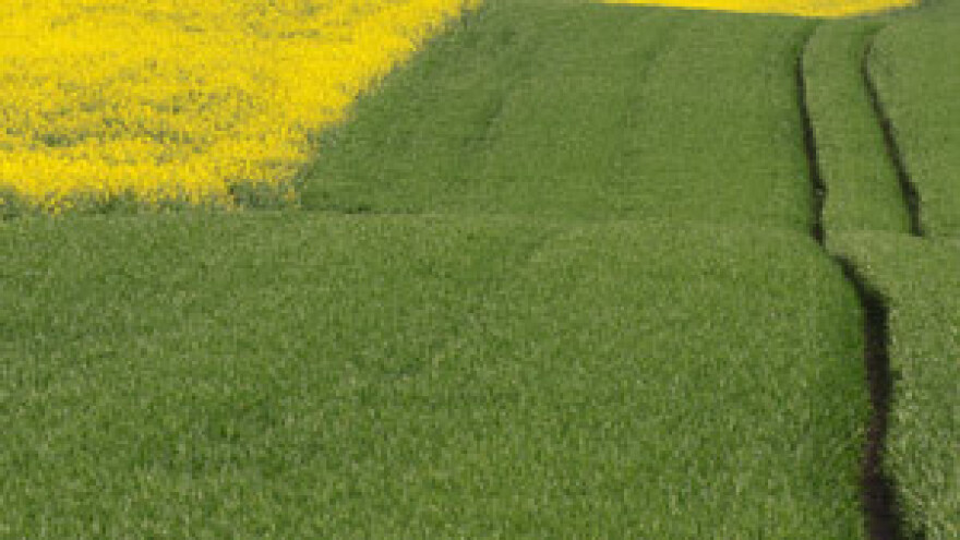 Još ništa od raspodjele državnog zemljišta