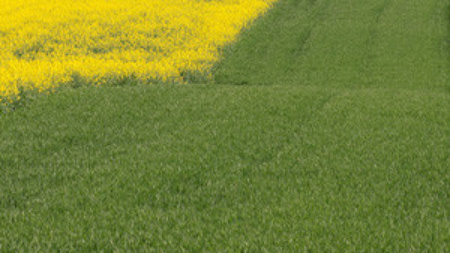 Za zapušteno zemljište kazna do pola milijuna kuna