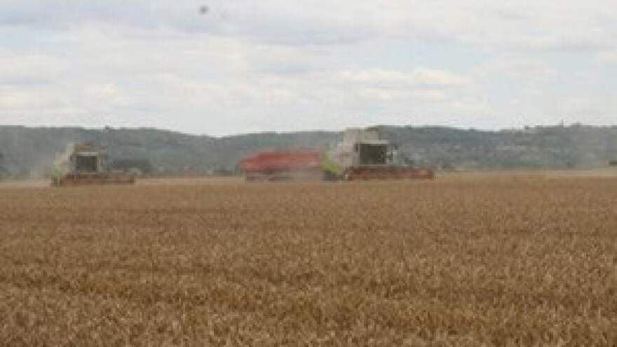 Urbanizacija uništava globalnu poljoprivredu