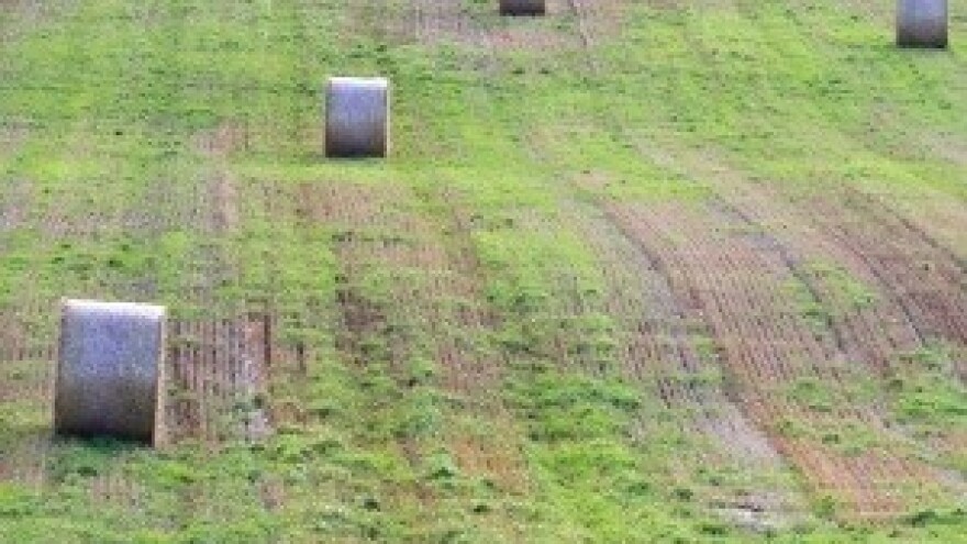 Započinje ažuriranje ARKOD parcela