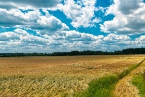 Jakovina je ovoga puta u pravu