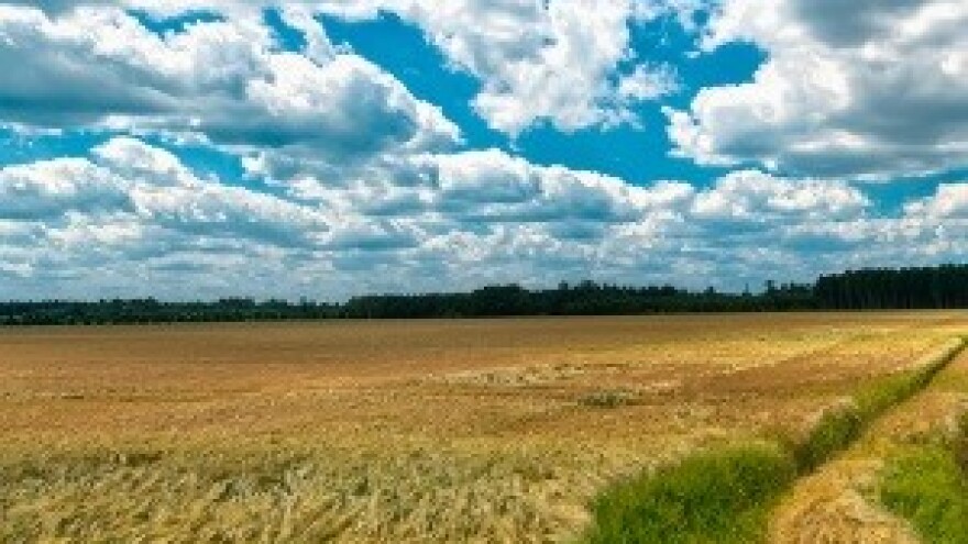 Jakovina je ovoga puta u pravu