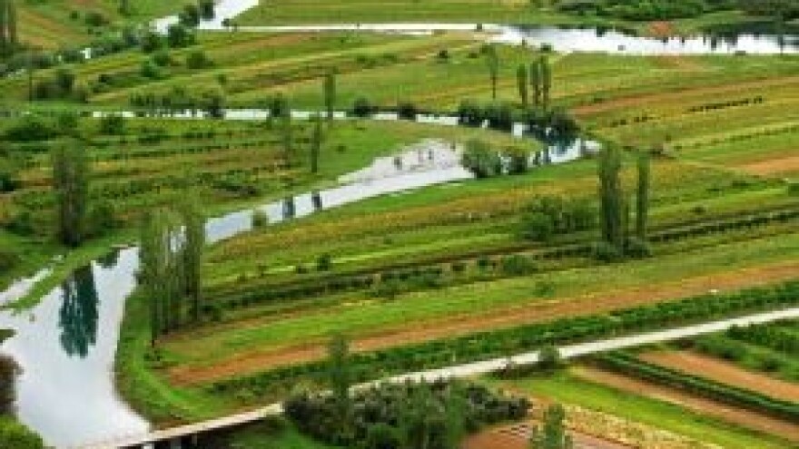 Zapošljavanje voditelja zadruga i dodjela sredstava za zadružno poduzetništvo