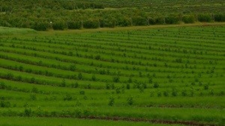 Sabor završio raspravu o poljoprivrednom zemljištu