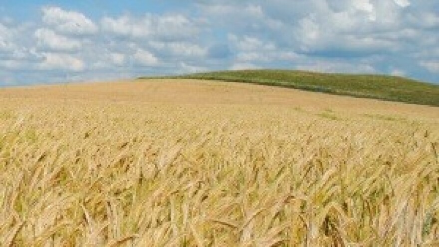 O poljoprivrednom zemljištu: Prepuste sve jedinicama lokalne samouprave