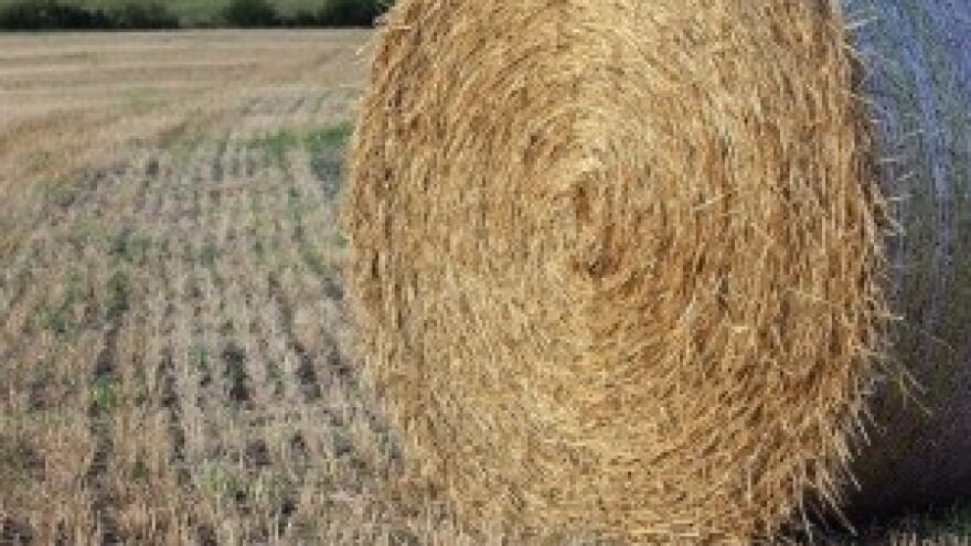 Prodajom državnog zemljišta do novih ulaganja