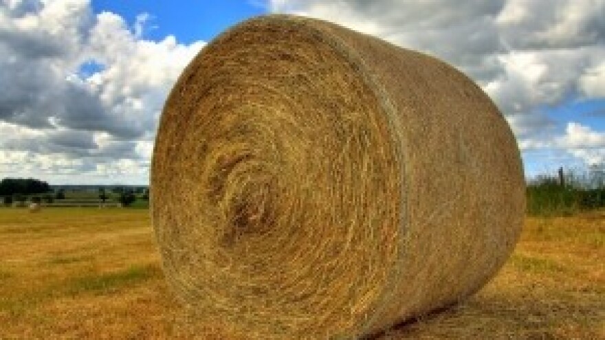 Komentar Poljoprivredne komore na Linićevu najavu  o promjenama u naplati PDV-a za obrtnike