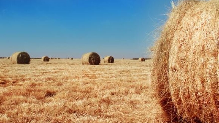 Dodatne potpore Agraru