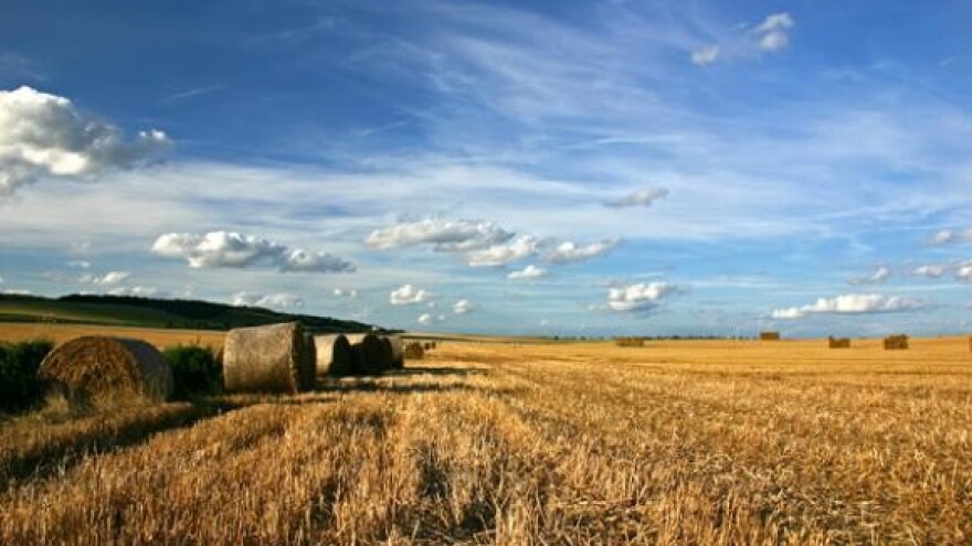 Puni tanjur deviznih kalorija