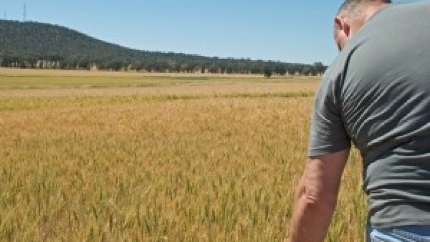 Ove godine očekujemo više od 1000 zahtjeva za IPARD