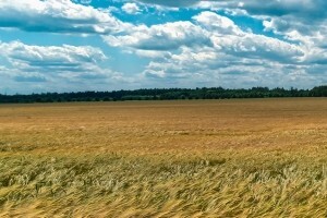 Poljoprivredno zemljište mora se održavati pogodnim za poljoprivrednu proizvodnju