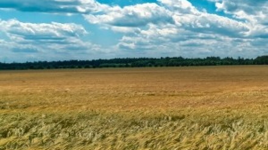 Poljoprivredno zemljište mora se održavati pogodnim za poljoprivrednu proizvodnju