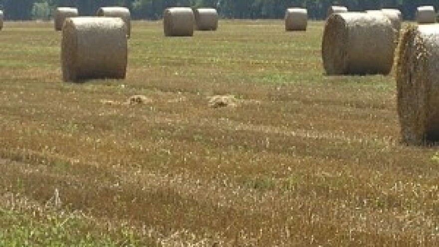 Ministri poljoprivrede usuglasili stajalište za pregovore s EP-om