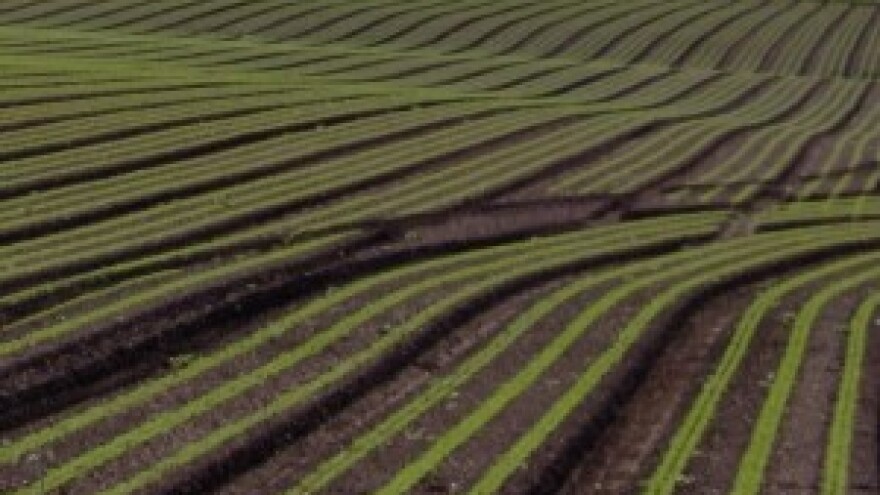 Oporba protiv zakona o poljoprivrednom zemljištu