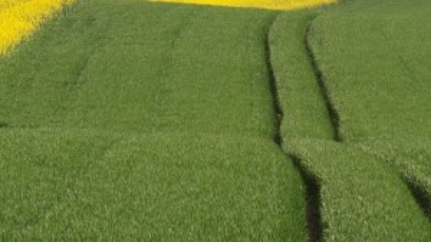 Novim Zakonom dopuštena ovrha poljoprivrednih poticaja